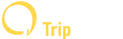 Illustrated Trip : Création de sites internet